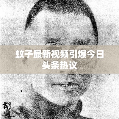 蚊子最新视频引爆今日头条热议