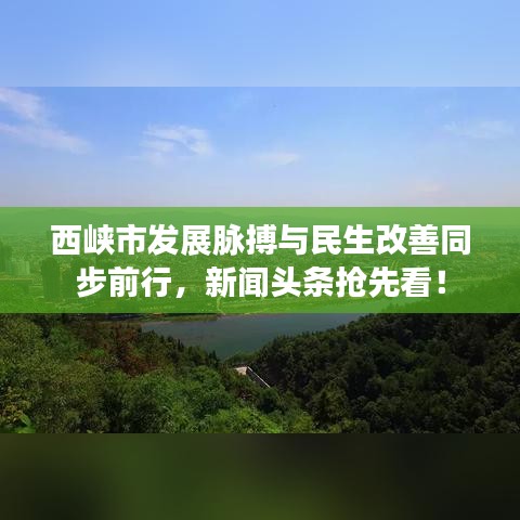 西峡市发展脉搏与民生改善同步前行，新闻头条抢先看！