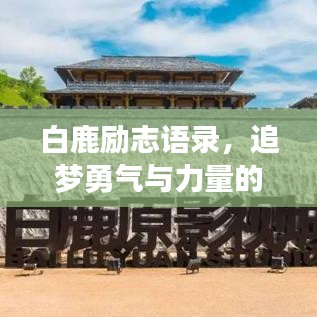 白鹿励志语录，追梦勇气与力量的探寻之旅
