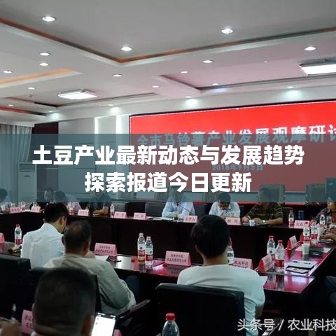 土豆产业最新动态与发展趋势探索报道今日更新