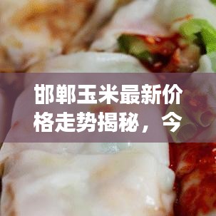 邯郸玉米最新价格走势揭秘，今日市场动态及分析摘要