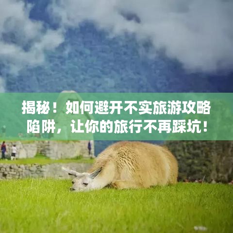 揭秘！如何避开不实旅游攻略陷阱，让你的旅行不再踩坑！