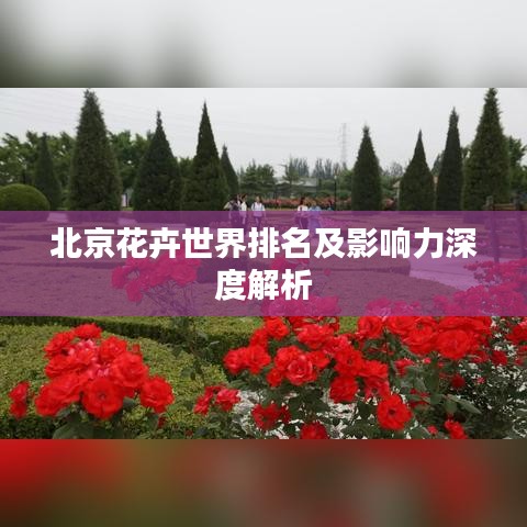 北京花卉世界排名及影响力深度解析