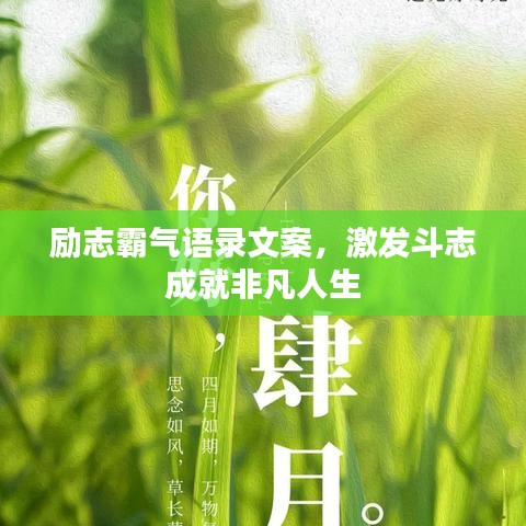励志霸气语录文案，激发斗志成就非凡人生