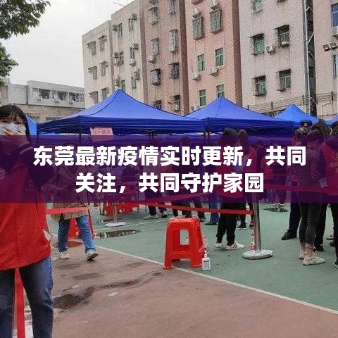 东莞最新疫情实时更新，共同关注，共同守护家园