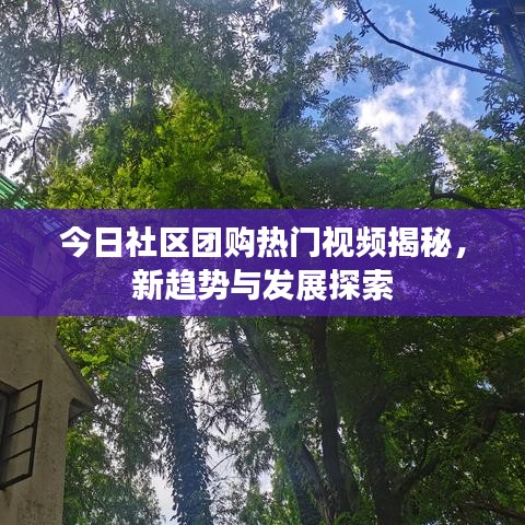 今日社区团购热门视频揭秘，新趋势与发展探索