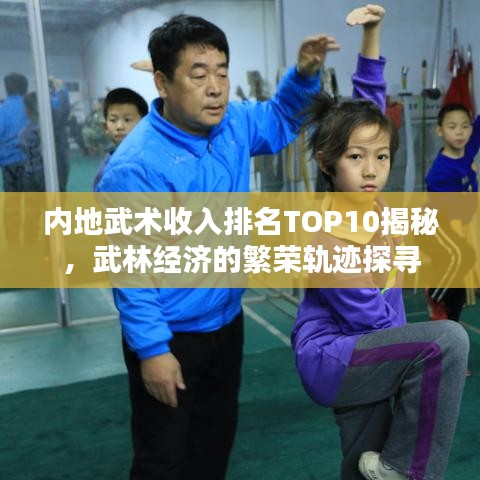 内地武术收入排名TOP10揭秘，武林经济的繁荣轨迹探寻
