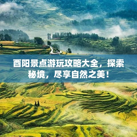 酉阳景点游玩攻略大全，探索秘境，尽享自然之美！