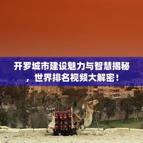 开罗城市建设魅力与智慧揭秘，世界排名视频大解密！