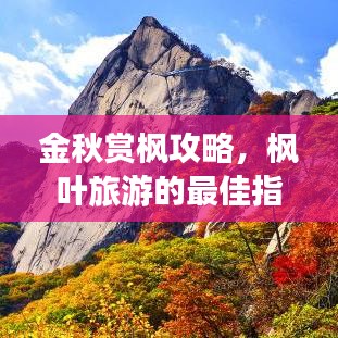 金秋赏枫攻略，枫叶旅游的最佳指南，带你领略醉美秋色！
