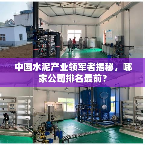 中国水泥产业领军者揭秘，哪家公司排名最前？
