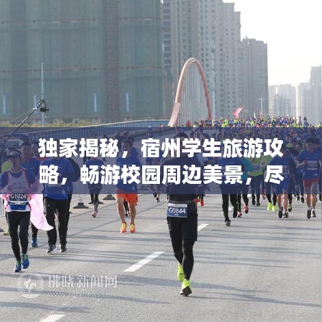 独家揭秘，宿州学生旅游攻略，畅游校园周边美景，尽享盛宴！