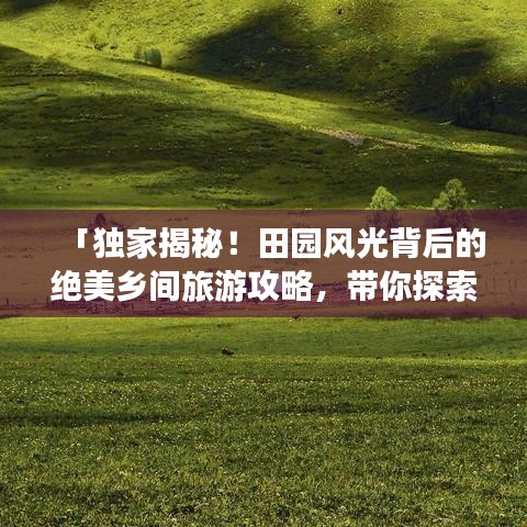 「独家揭秘！田园风光背后的绝美乡间旅游攻略，带你探索自然之韵」
