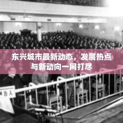 东兴城市最新动态，发展热点与新动向一网打尽