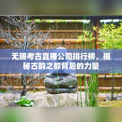 无锡考古直播公司排行榜，揭秘古韵之都背后的力量