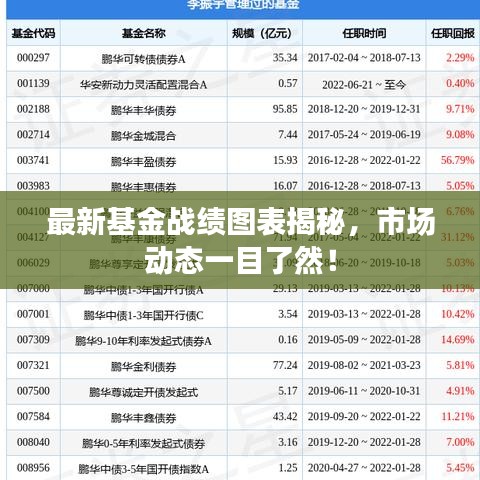 最新基金战绩图表揭秘，市场动态一目了然！