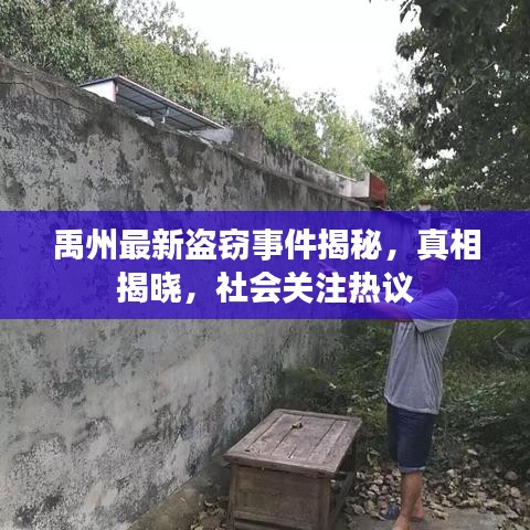 禹州最新盗窃事件揭秘，真相揭晓，社会关注热议