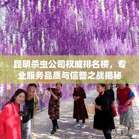 昆明杀虫公司权威排名榜，专业服务品质与信誉之战揭秘