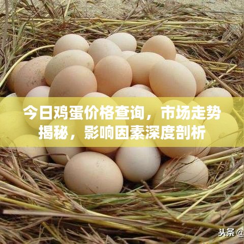 今日鸡蛋价格查询，市场走势揭秘，影响因素深度剖析