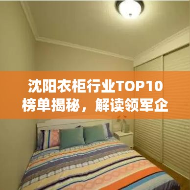 沈阳衣柜行业TOP10榜单揭秘，解读领军企业的成功之道