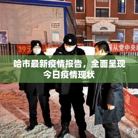 哈市最新疫情报告，全面呈现今日疫情现状