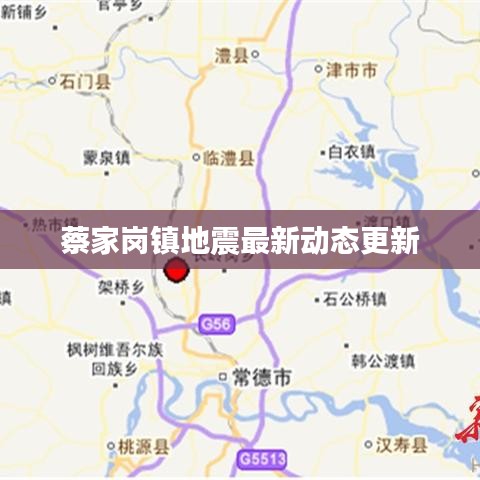 蔡家岗镇地震最新动态更新