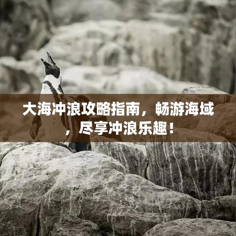 大海冲浪攻略指南，畅游海域，尽享冲浪乐趣！