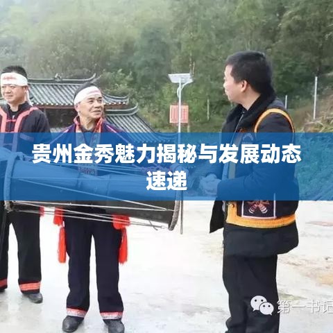 贵州金秀魅力揭秘与发展动态速递