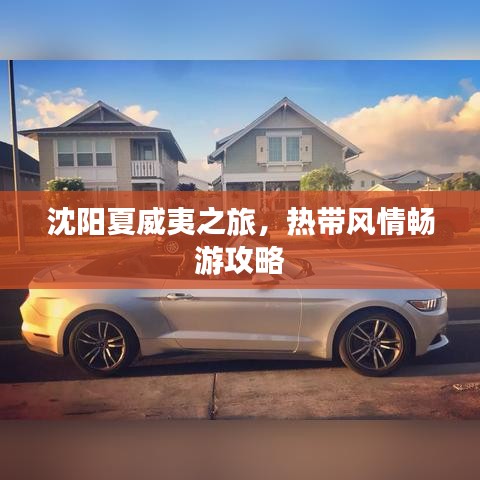 沈阳夏威夷之旅，热带风情畅游攻略