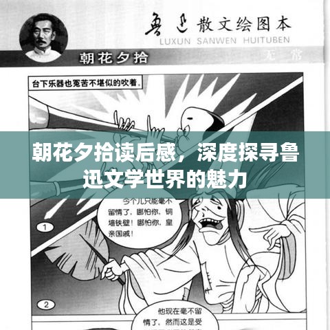 朝花夕拾读后感，深度探寻鲁迅文学世界的魅力