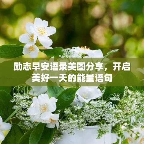 励志早安语录美图分享，开启美好一天的能量语句
