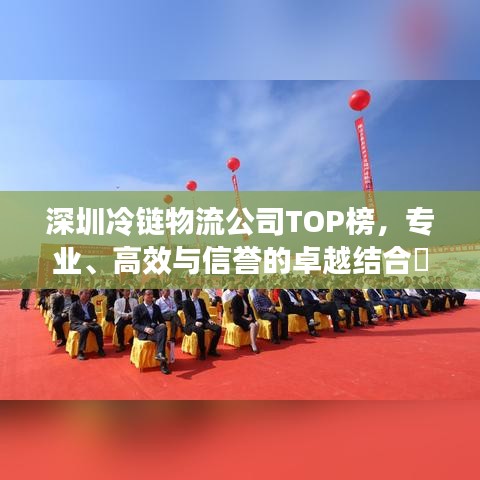 深圳冷链物流公司TOP榜，专业、高效与信誉的卓越结合​​