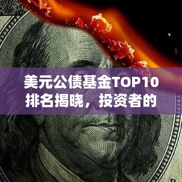 美元公债基金TOP10排名揭晓，投资者的黄金选择榜单！