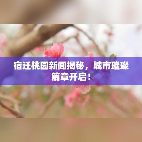 宿迁桃园新闻揭秘，城市璀璨篇章开启！