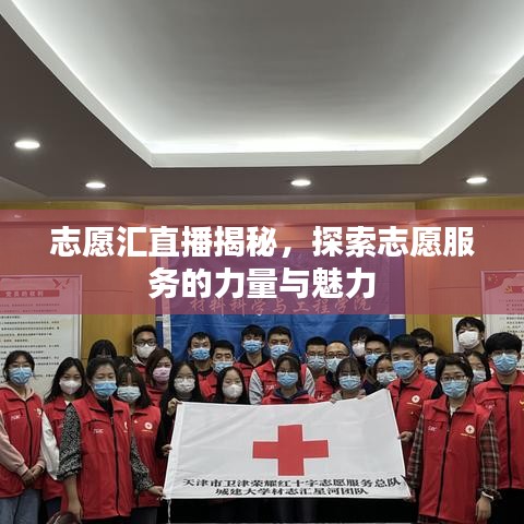 志愿汇直播揭秘，探索志愿服务的力量与魅力