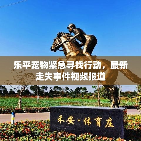 乐平宠物紧急寻找行动，最新走失事件视频报道
