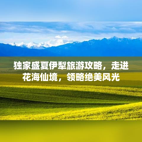 独家盛夏伊犁旅游攻略，走进花海仙境，领略绝美风光