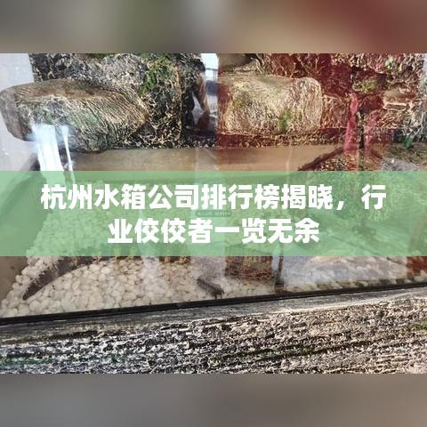 杭州水箱公司排行榜揭晓，行业佼佼者一览无余