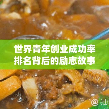 世界青年创业成功率排名背后的励志故事