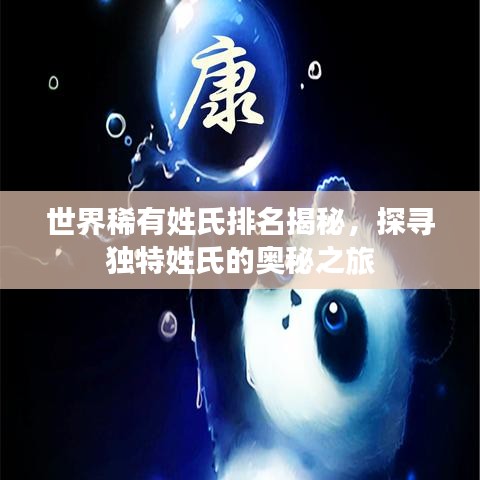 世界稀有姓氏排名揭秘，探寻独特姓氏的奥秘之旅