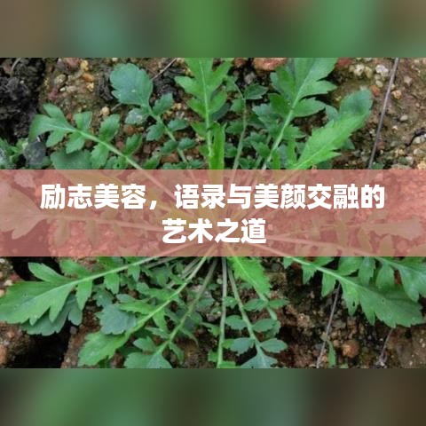 励志美容，语录与美颜交融的艺术之道