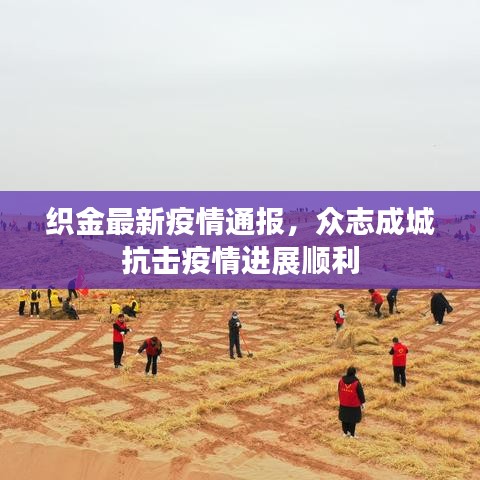 织金最新疫情通报，众志成城抗击疫情进展顺利
