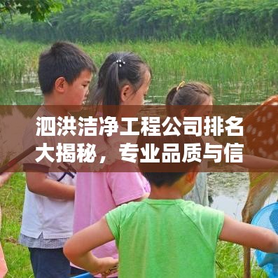 泗洪洁净工程公司排名大揭秘，专业品质与信誉的双重考验