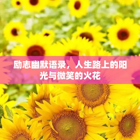 励志幽默语录，人生路上的阳光与微笑的火花