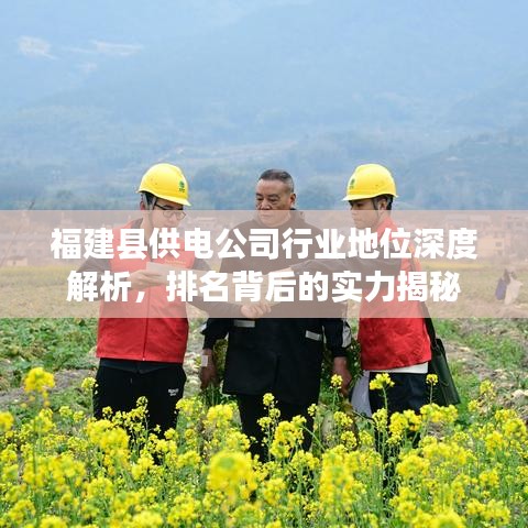 福建县供电公司行业地位深度解析，排名背后的实力揭秘