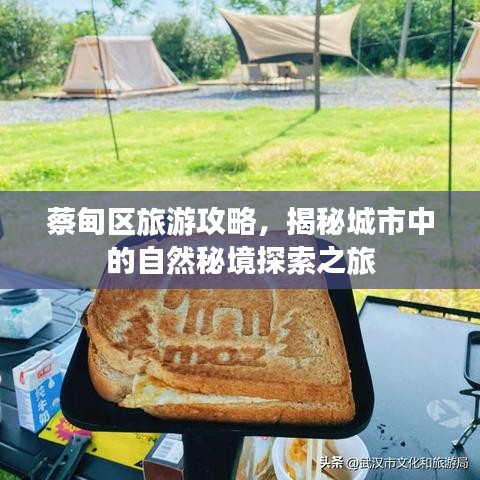 蔡甸区旅游攻略，揭秘城市中的自然秘境探索之旅