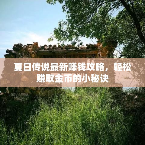 夏日传说最新赚钱攻略，轻松赚取金币的小秘诀