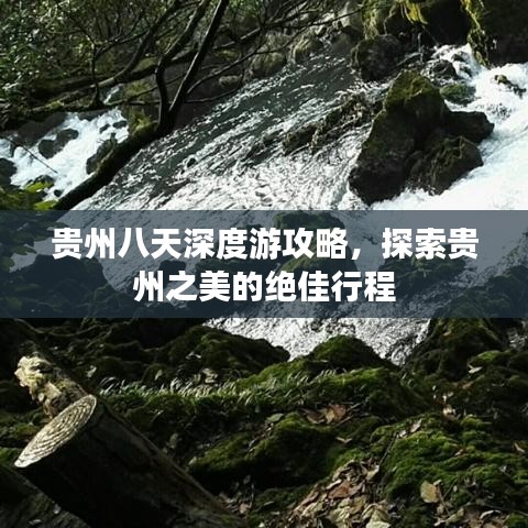 贵州八天深度游攻略，探索贵州之美的绝佳行程