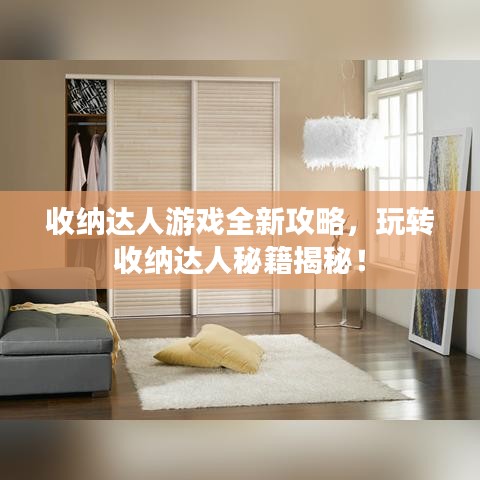 收纳达人游戏全新攻略，玩转收纳达人秘籍揭秘！
