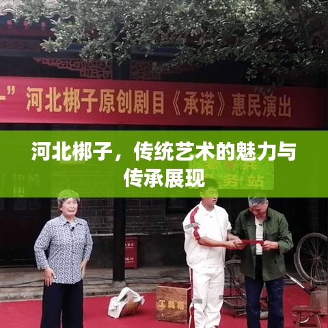 河北梆子，传统艺术的魅力与传承展现